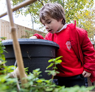 Barons Court Primary School